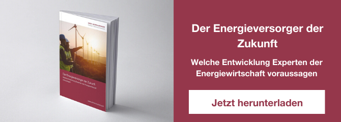 CTA Studie Energieversorger Zukunft