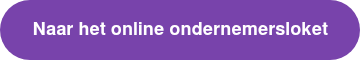 Naar het online ondernemersloket