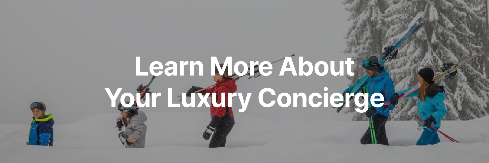 Learn more about your luxury concierge