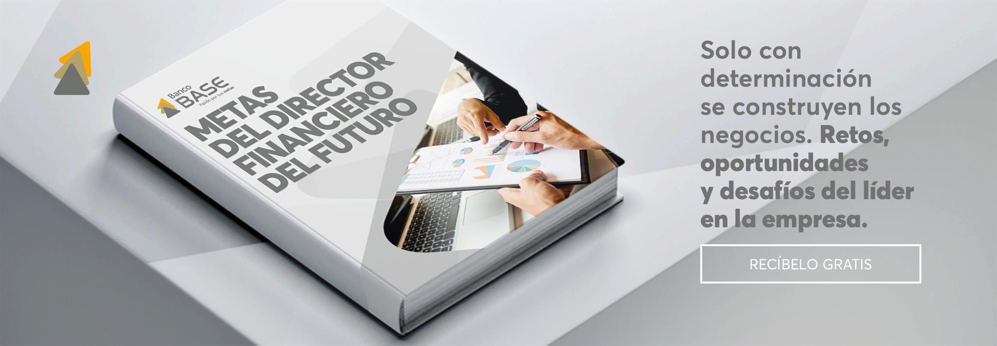 El Director Financiero del Futuro