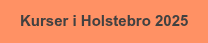 Kurser i Holstebro 2025