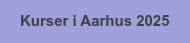 Kurser i Aarhus 2025
