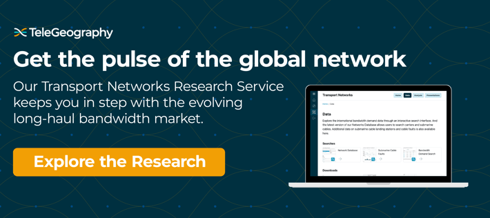 Get the pulse of the global network with TeleGeography's Transport Networks Research Service