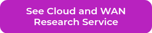 See Cloud and WAN Research Service