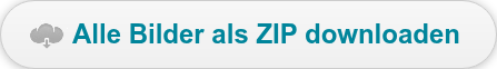Alle Bilder als ZIP downloaden