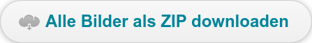 Alle Bilder als ZIP downloaden