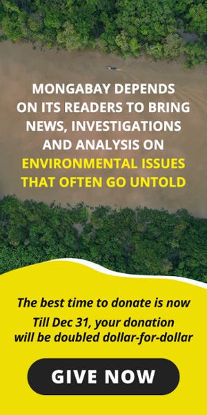 New call-to-action