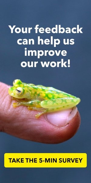 New call-to-action