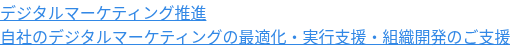 デジタルマーケティング推進  自社のデジタルマーケティングの最適化・実行支援・組織開発のご支援