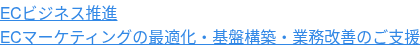 ECビジネス推進  ECマーケティングの最適化・基盤構築・業務改善のご支援