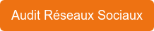 Audit Réseaux Sociaux