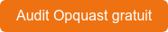 Audit Opquast gratuit