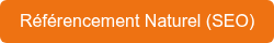 Référencement Naturel (SEO)