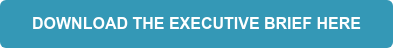 DOWNLOAD THE EXECUTIVE BRIEF HERE