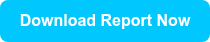 <strong>Download Report Now</strong>