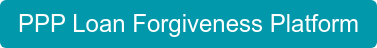 PPP Loan Forgiveness Platform