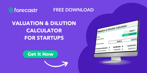 Blog Safety Net Valuation & Dilution Calculator