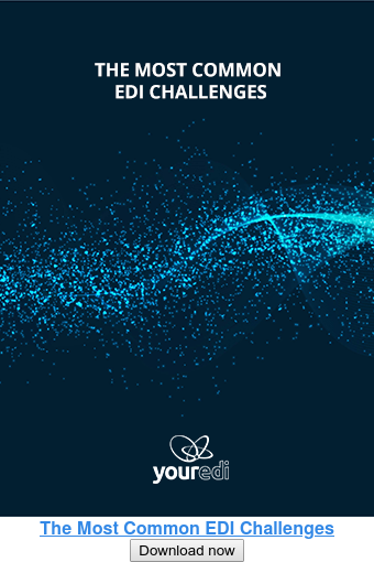 The Most Common EDI Challenges Download now