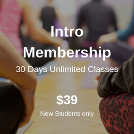 Intro Membership