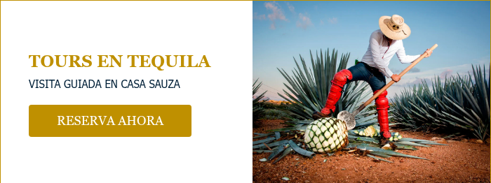 TOURS EN TEQUILA VISITA GUIADA EN CASA SAUZA &nbsp;