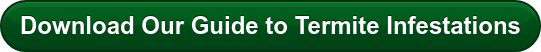 New call-to-action