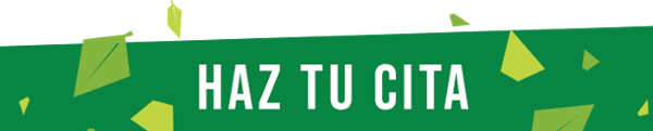 Casas del árbol Haz tu Cita Octubre