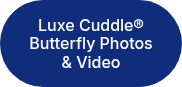 Luxe Cuddle® Butterfly Photos & Video