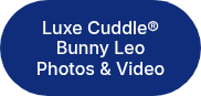 Luxe Cuddle® Bunny Leo Photos & Video