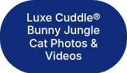 Luxe Cuddle® Bunny Jungle Cat Photos & Videos