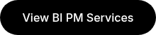 View BI PM Services