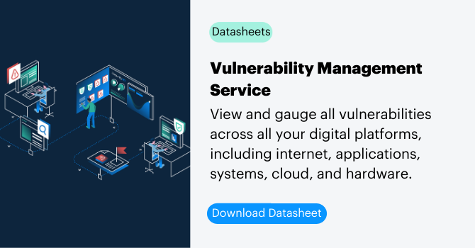 Vulnerability Management Service datasheet