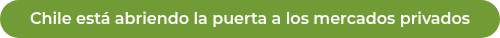 <p>Chile está abriendo la puerta a los mercados privados</p>