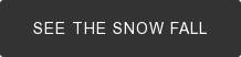 See the Snow Fall