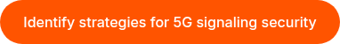 Identify strategies for 5G signaling security