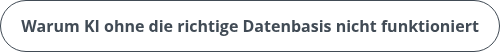<div style="line-height: 20px;"><strong>Warum KI ohne die richtige Datenbasis nicht funktioniert</strong></div>