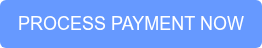 PROCESS PAYMENT NOW