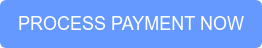 PROCESS PAYMENT NOW