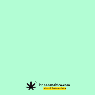 Produtos à base de óleo de cannabis, veganos e 100% naturais.