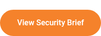 View Security Brief