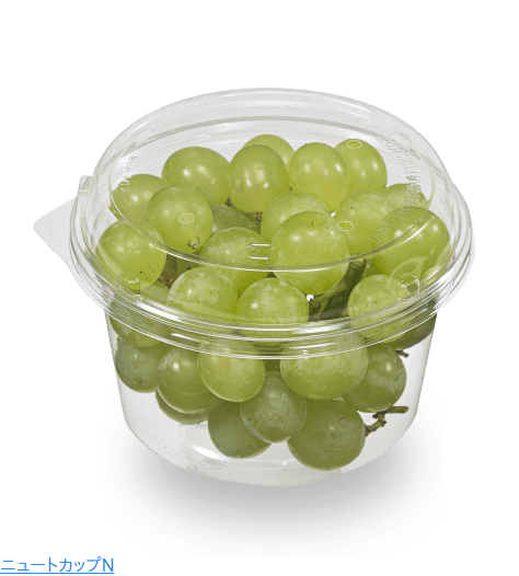 ニュートカップN