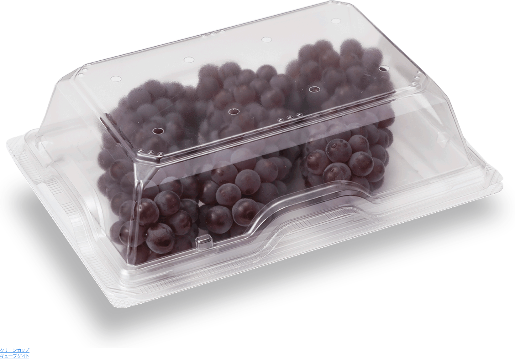 クリーンカップ キューブゲイト