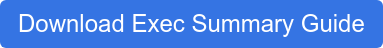 Download Exec Summary Guide