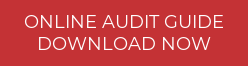 online audit guide Download now