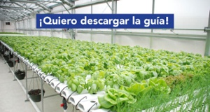 Uso de nanoburbujas en agricultura