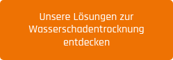Unsere Lösungen zur Wasserschadentrocknung entdecken