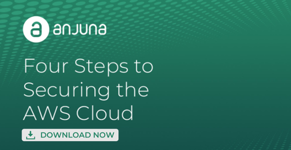white paper - four steps to securing the AWS Cloud