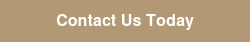 Contact Us Today