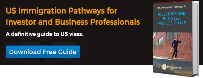US Immigration Pathways for Investors and Business Professionals eBook