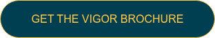 <p>GET THE VIGOR BROCHURE</p>