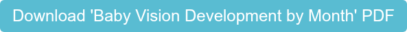 Download 'Baby Vision Development by Month' PDF